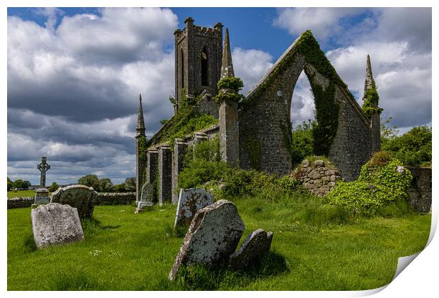 Ballynafagh Church Ruin Print by Thomas Schaeffer