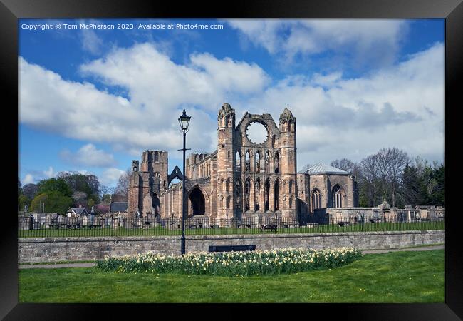 Historic Elgin Cathedral Framed Print by Tom McPherson