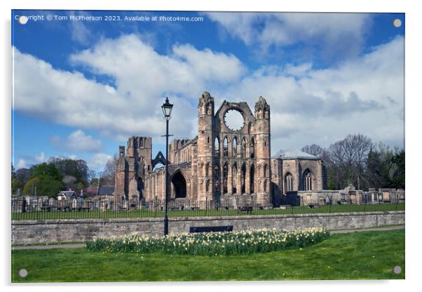 Historic Elgin Cathedral Acrylic by Tom McPherson