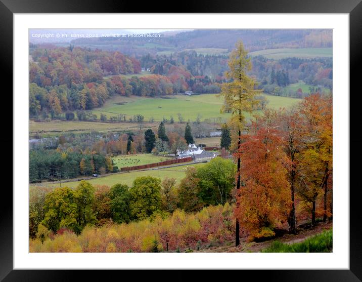 Autmn Gold at Ballindalloch Framed Mounted Print by Phil Banks