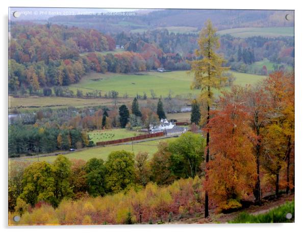 Autmn Gold at Ballindalloch Acrylic by Phil Banks