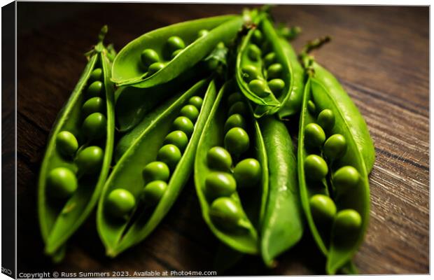 Peas in Pods Canvas Print by Russ Summers
