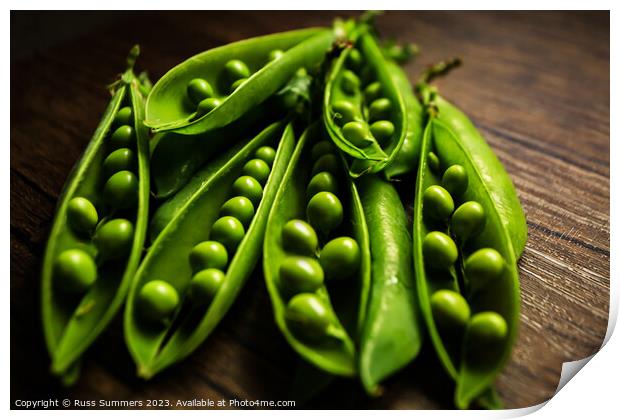 Peas in Pods Print by Russ Summers