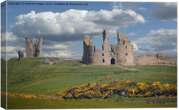 Dunstanburgh Castle ruins in summer sunshine. Canvas Print by Andrew Heaps