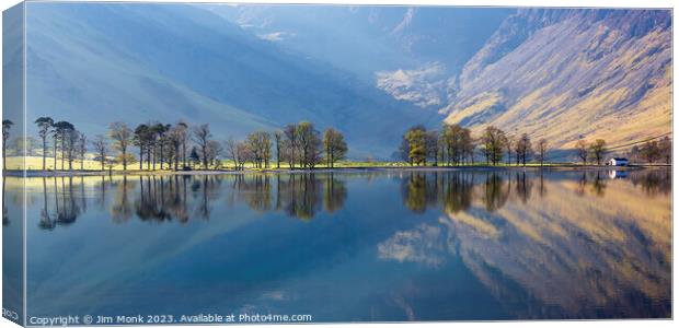 Buttermere Pines, Lake District Canvas Print by Jim Monk