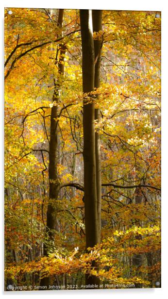 Golden Woodland with Soft focus Acrylic by Simon Johnson