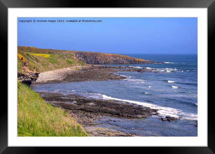 Northumberland rugged coastline. Framed Mounted Print by Andrew Heaps