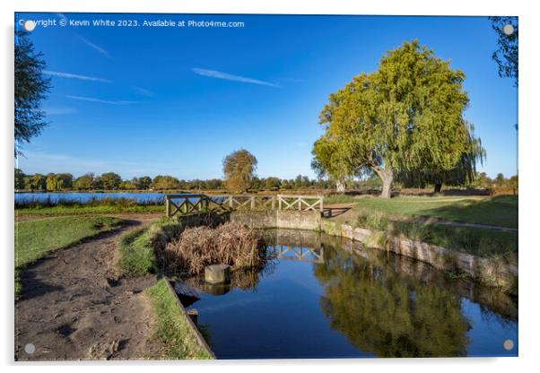 Little bridge across Bushy Park ponds in Surrey UK Acrylic by Kevin White
