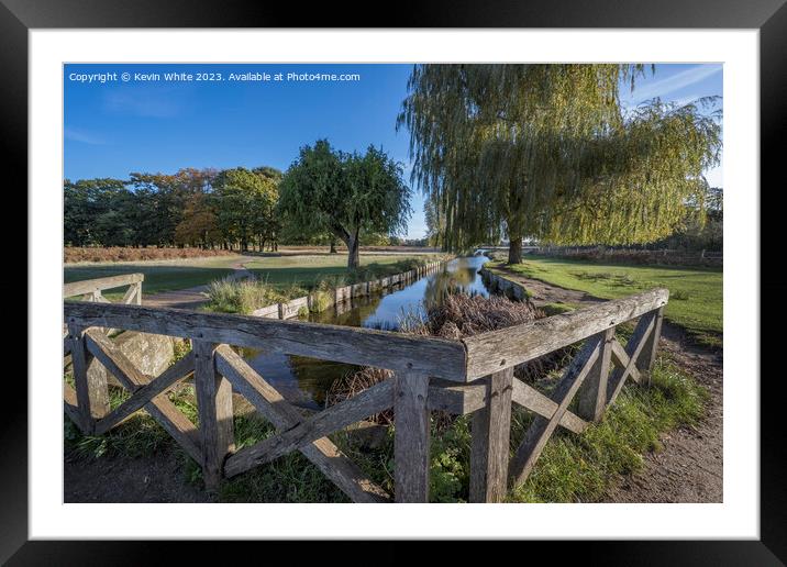Stream leading to leg of Mutton pond Bushy Park Surrey Framed Mounted Print by Kevin White
