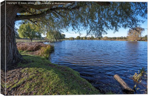 Resting under the willow tree next to Heron pond in Bushy Park Canvas Print by Kevin White