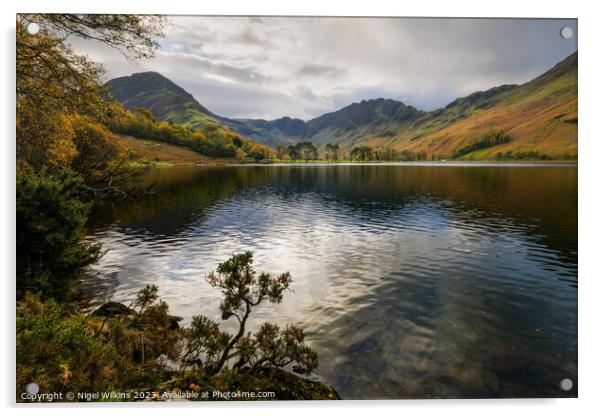 Buttermere, Lake District Acrylic by Nigel Wilkins