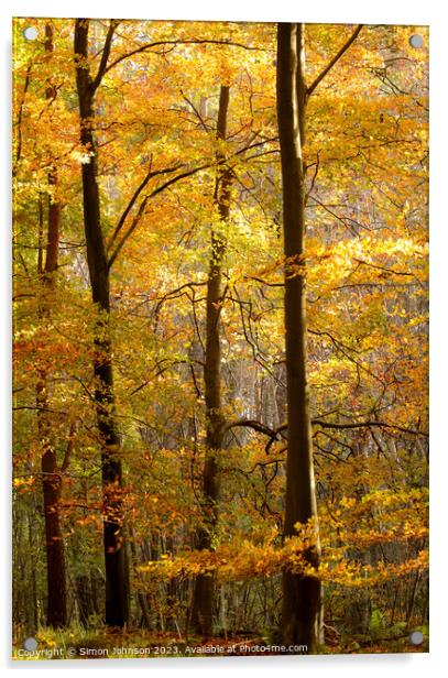 Sunlit autumn trees  Acrylic by Simon Johnson