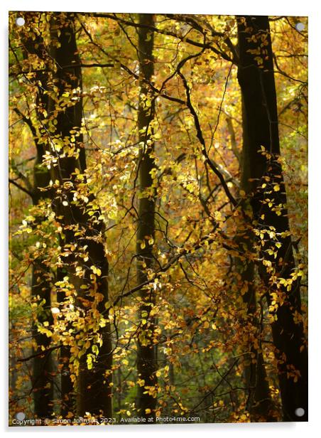 Sunlit Leaves  Acrylic by Simon Johnson