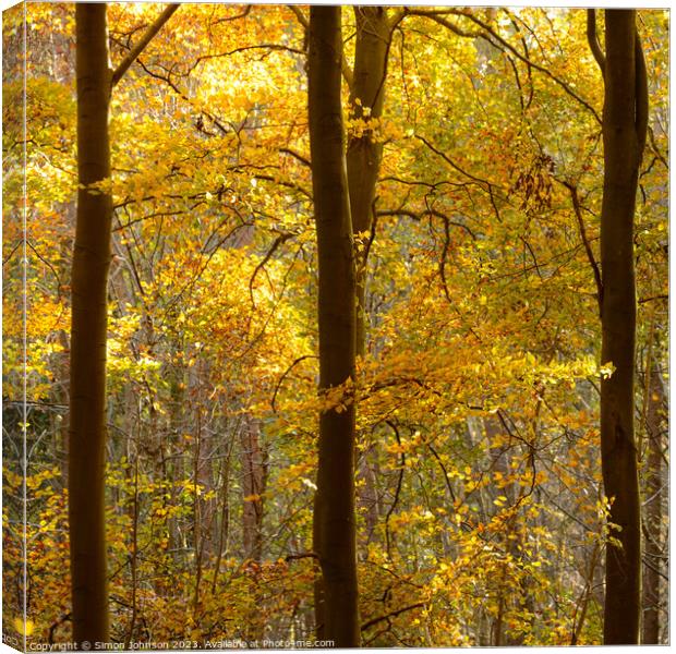 Sunlit Leaves and trees Canvas Print by Simon Johnson