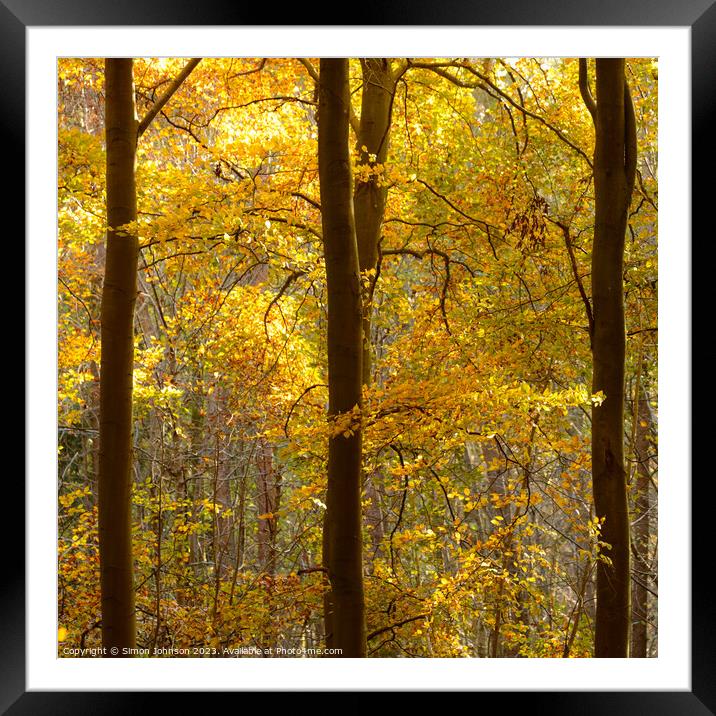 Sunlit Leaves and trees Framed Mounted Print by Simon Johnson