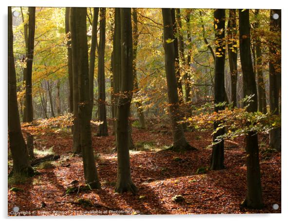 Autumn Woodland  Acrylic by Simon Johnson