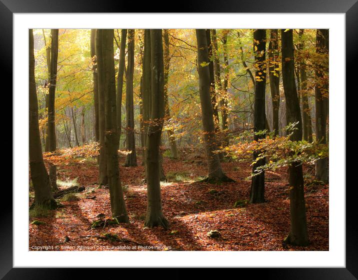 Autumn Woodland  Framed Mounted Print by Simon Johnson