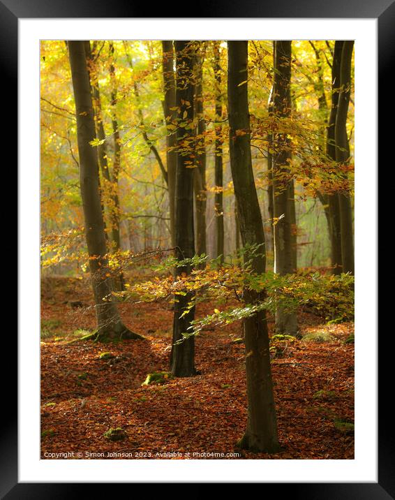 Aut Woodland  Framed Mounted Print by Simon Johnson