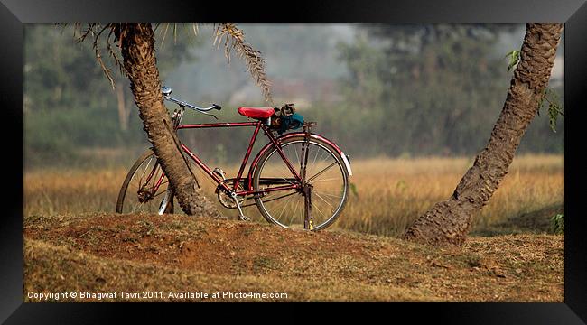 Bicycle in RED Framed Print by Bhagwat Tavri