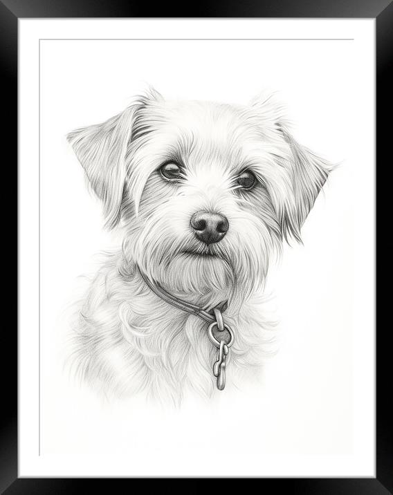 Dandie Dinmont Terrier Pencil Drawing Framed Mounted Print by K9 Art