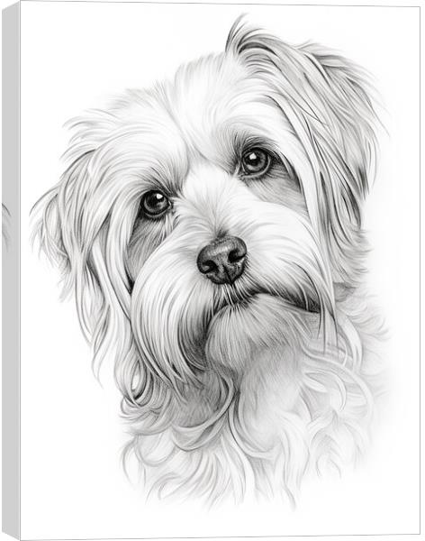 Dandie Dinmont Terrier Pencil Drawing Canvas Print by K9 Art