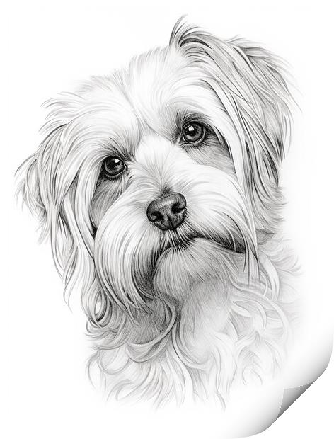Dandie Dinmont Terrier Pencil Drawing Print by K9 Art