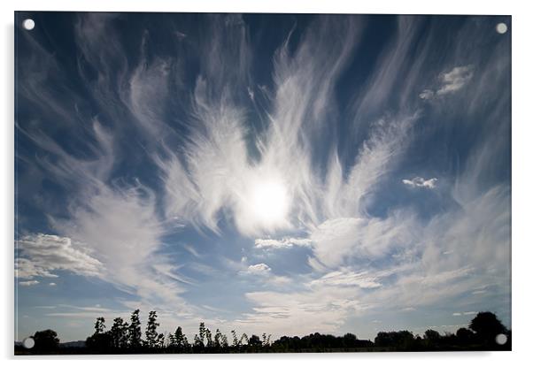 Cirrus Cloud Acrylic by Ian Collins