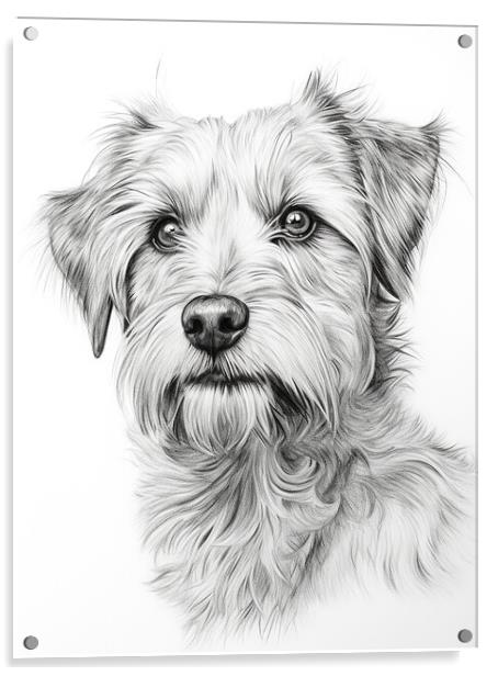 Deutscher Wachtelhund Pencil Drawing Acrylic by K9 Art