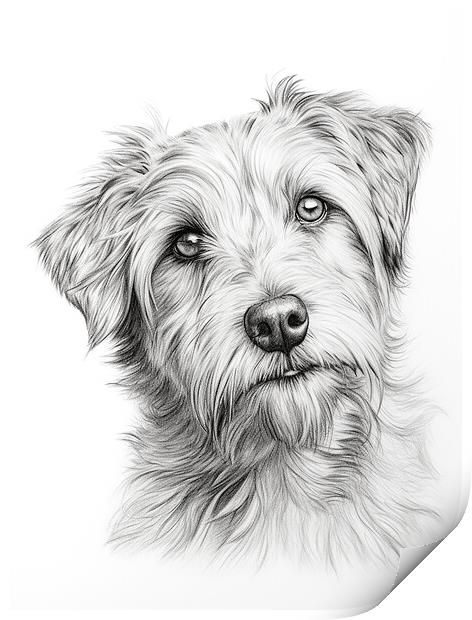 Deutscher Wachtelhund Pencil Drawing Print by K9 Art