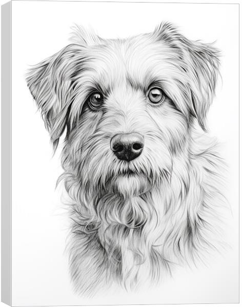 Deutscher Wachtelhund Pencil Drawing Canvas Print by K9 Art