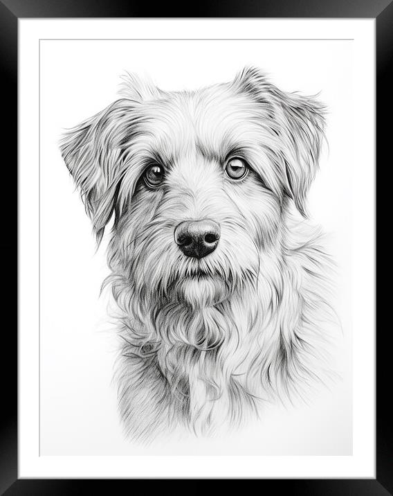 Deutscher Wachtelhund Pencil Drawing Framed Mounted Print by K9 Art