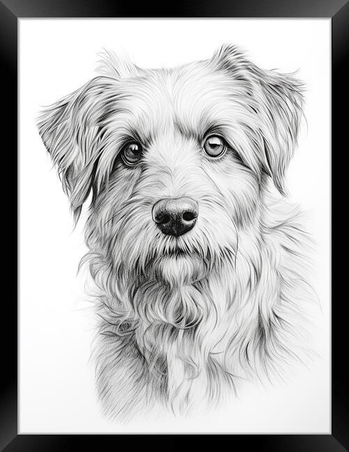 Deutscher Wachtelhund Pencil Drawing Framed Print by K9 Art