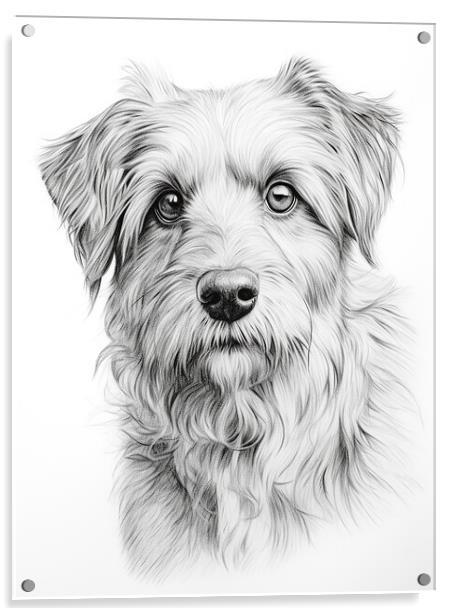 Deutscher Wachtelhund Pencil Drawing Acrylic by K9 Art