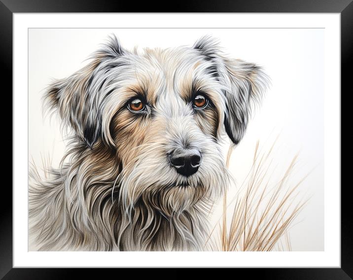 Deutscher Wachtelhund Pencil Drawing Framed Mounted Print by K9 Art
