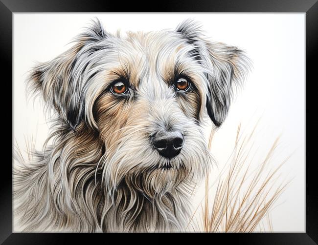 Deutscher Wachtelhund Pencil Drawing Framed Print by K9 Art