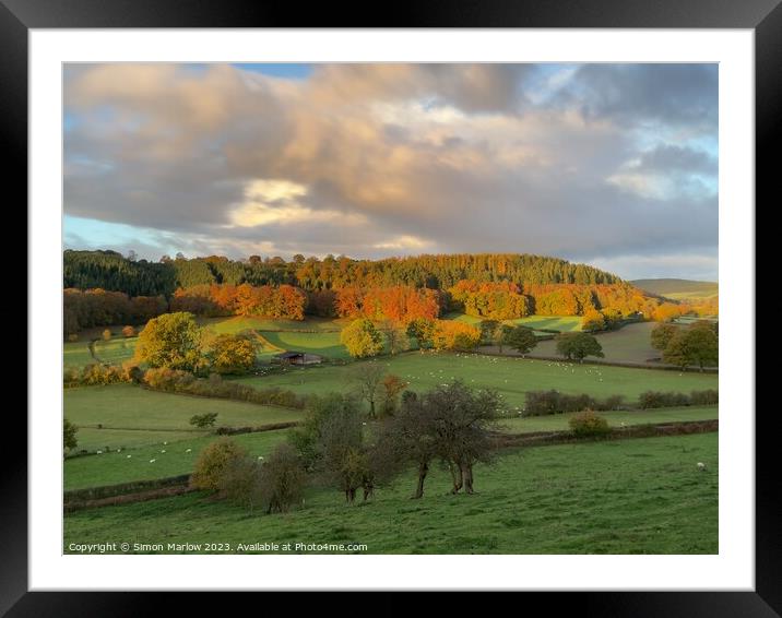 The colours of Autumn Framed Mounted Print by Simon Marlow