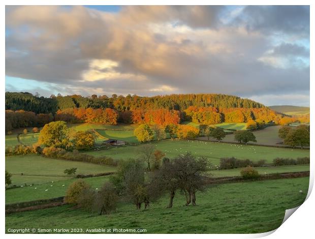 The colours of Autumn Print by Simon Marlow