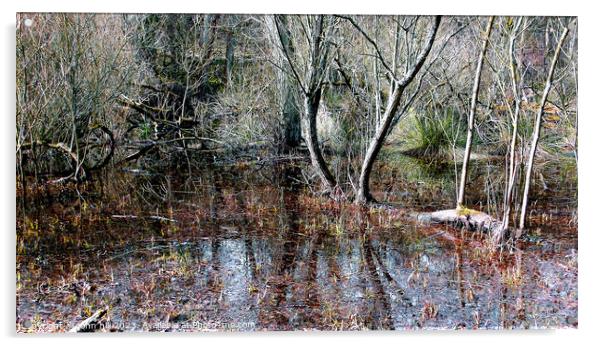 Marshland, Derbyshire, UK. Acrylic by john hill