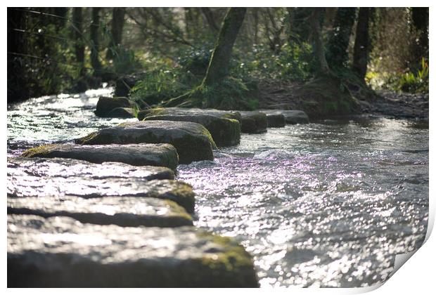 stepping stones across river Print by kathy white