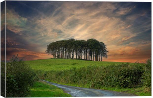 Nearly Home Trees, Coming home trees, Cornwall trees  Canvas Print by kathy white