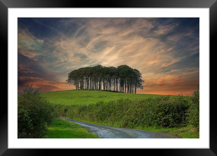 Nearly Home Trees, Coming home trees, Cornwall trees  Framed Mounted Print by kathy white