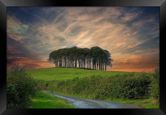 Nearly Home Trees, Coming home trees, Cornwall trees  Framed Print by kathy white