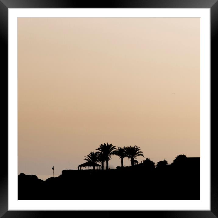 Madeira Silouette Framed Mounted Print by Tom Lloyd