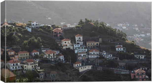 Madeira Hillside Canvas Print by Tom Lloyd