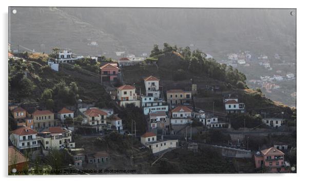 Madeira Hillside Acrylic by Tom Lloyd