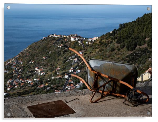 Madeira Sea View Acrylic by Tom Lloyd