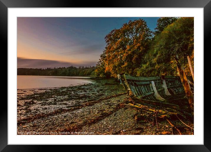 Autumn by the River Dart. Framed Mounted Print by Ian Stone