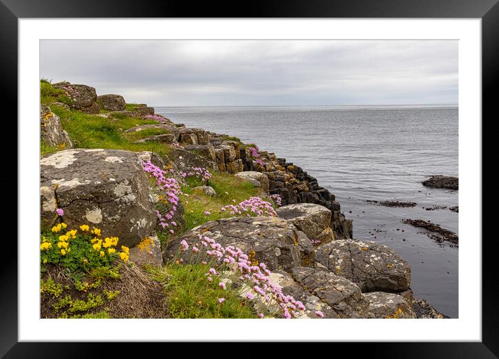 Giants Causeway Framed Mounted Print by Thomas Schaeffer