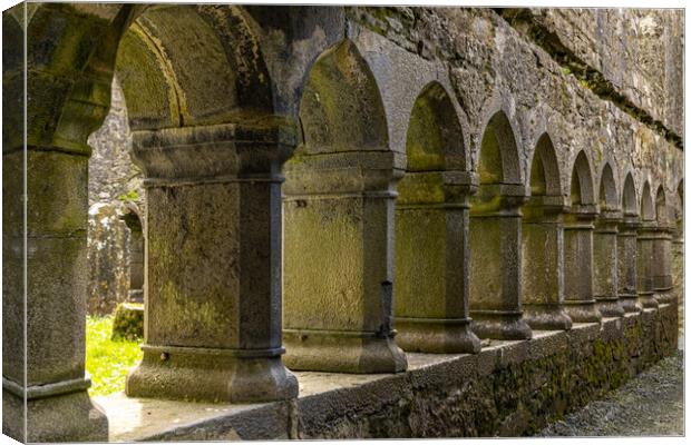 Friary of Ross Canvas Print by Thomas Schaeffer