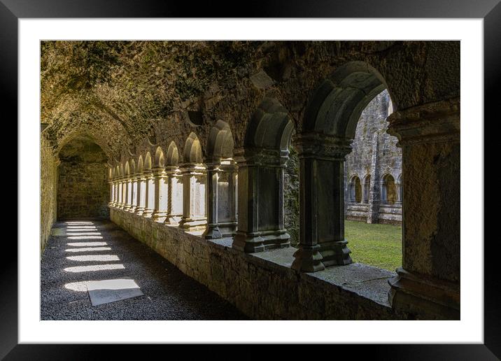 Quin Abbey Framed Mounted Print by Thomas Schaeffer